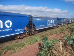 RUMO HTT-351175-8
